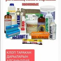 Клоп таракан даарылайбыз
